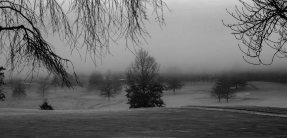 Quiet Fog