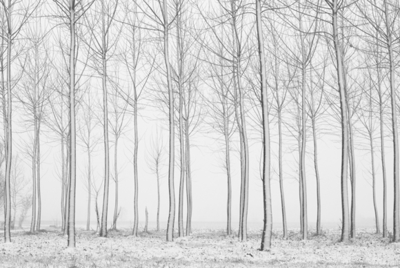 Silenzio