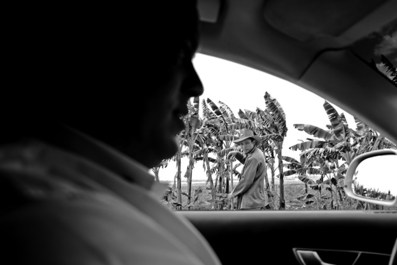 Rice Crop Workers B & W