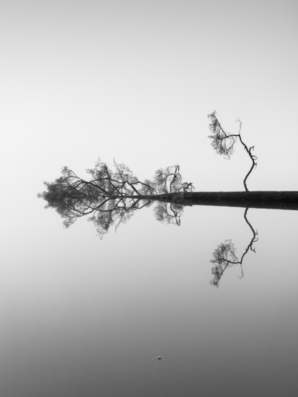 Reflections on water