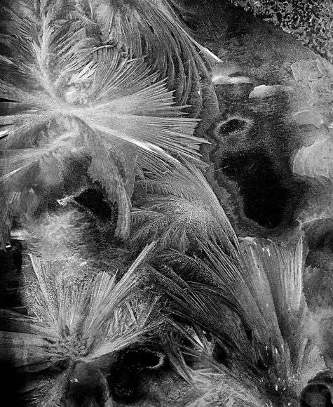 Metamorphism