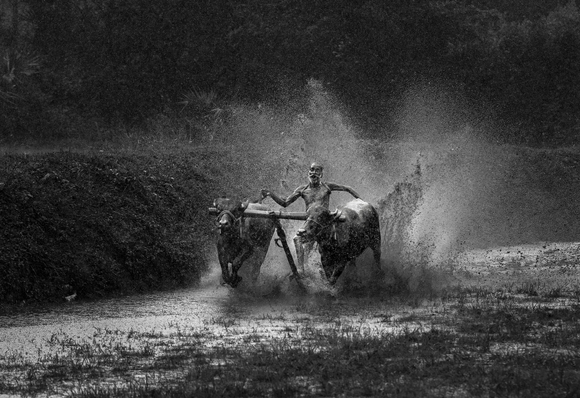 Kalappoottu: The Spirit of Tradition and Speed