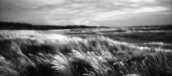Wind
