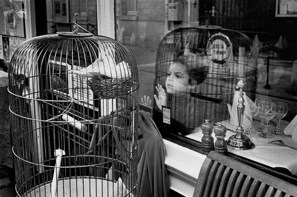 Boy + Bird