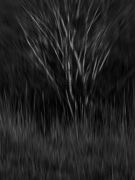 brushstrokes_I