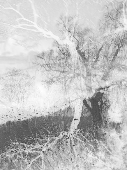 crossing_over