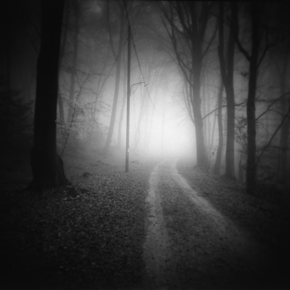 the light of the way
