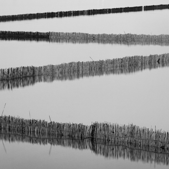 Zigzag