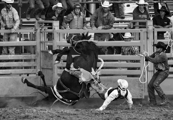 Rodeo Spill 1
