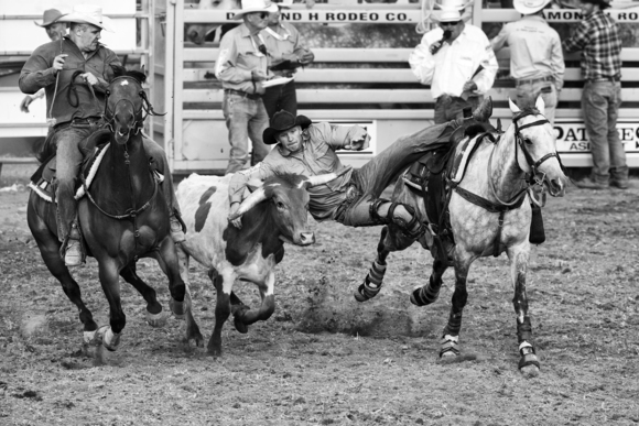 Steer Wrestling