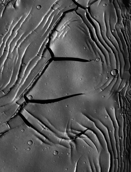 Cracked Mud