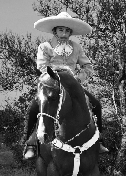 Vaquero