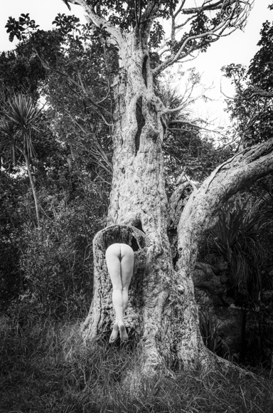 The Hungry Tree