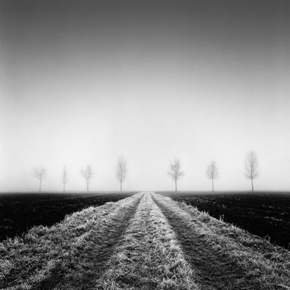 Fields XIII