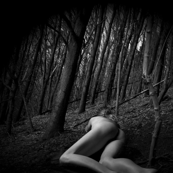 Woods