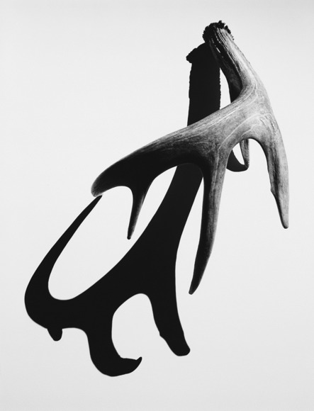 Antler