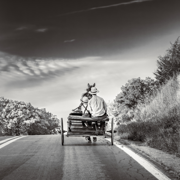 Amish Buggy Ride