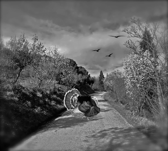 Offbeat