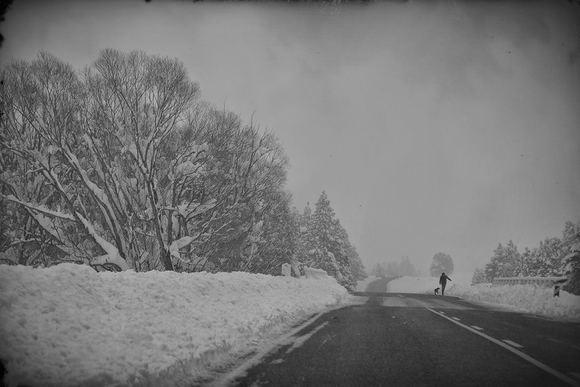 Winter Walk