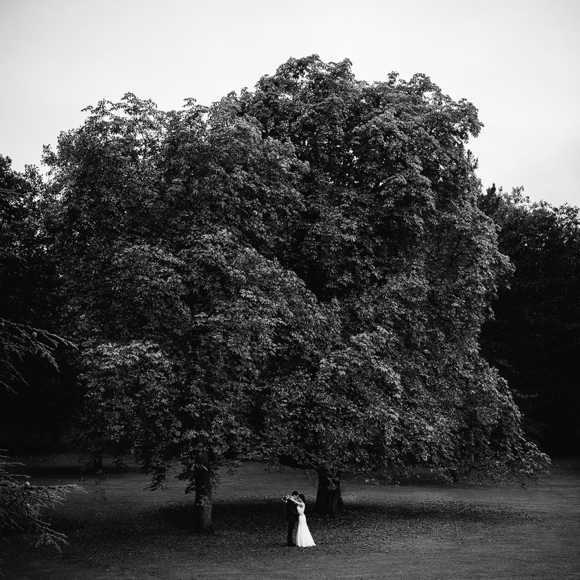 Under the tree of love