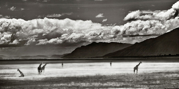 Storm Gathering 
