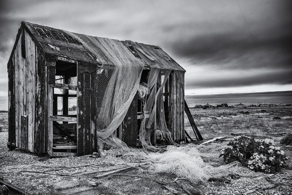 Drying Shed