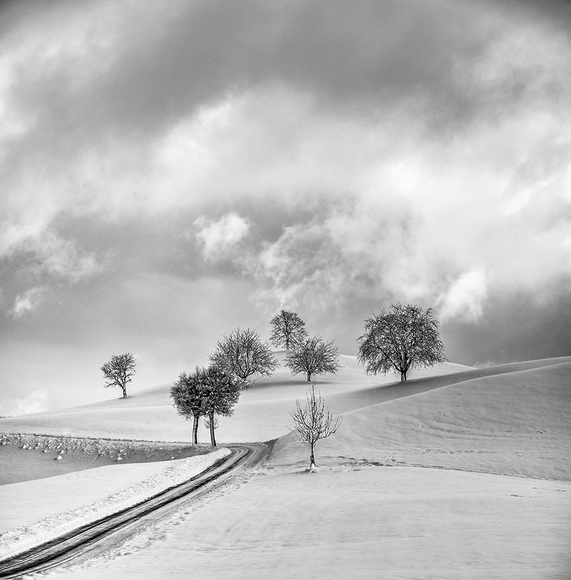 After the Storm