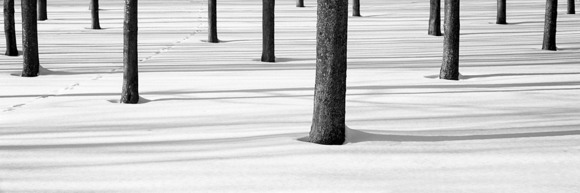 Tracks (2)
