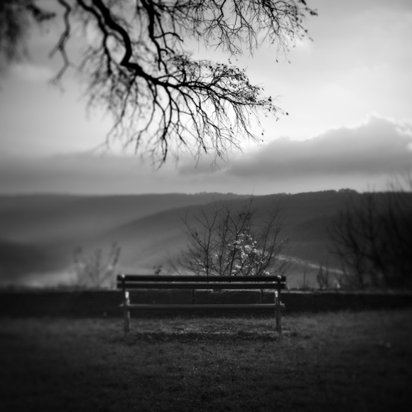 The bench
