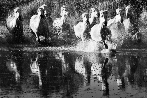 Run Run Run