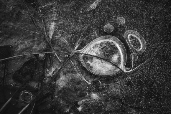 Frozen Universe