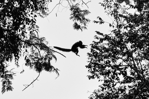 jump