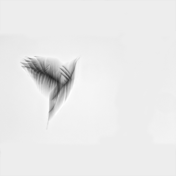 Rapture 1