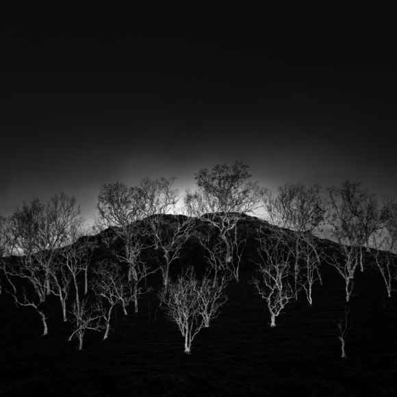 The Hairs of Mountain