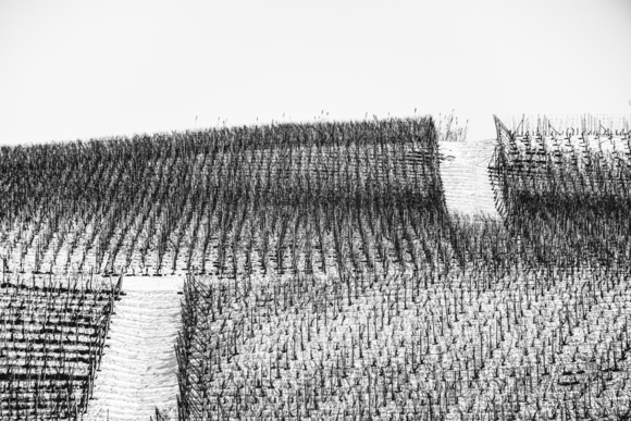 Textute 