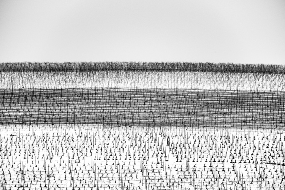 Texture