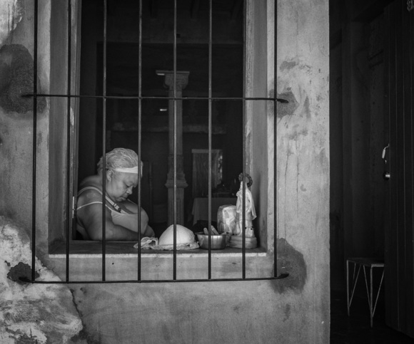 Asleep in the window
