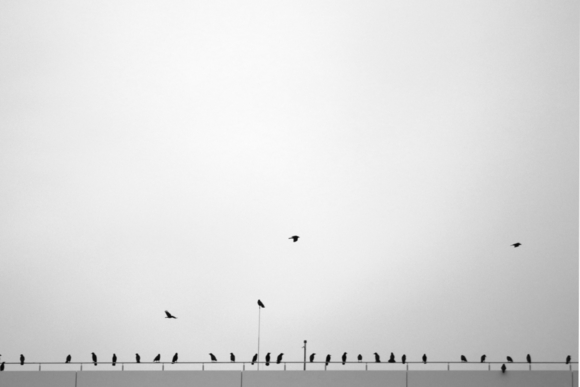 The Gathering