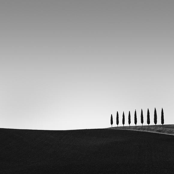 il nove