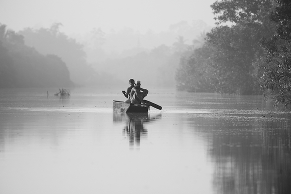 Early Morning Fishing