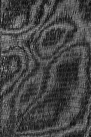 Monkey On Net