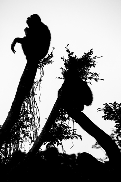 Alone (1)