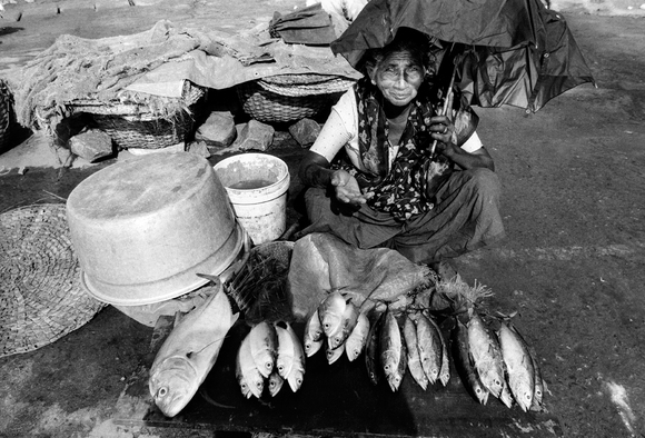 Fish seller