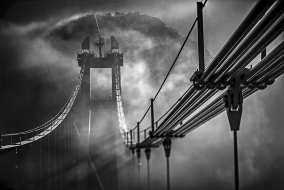 Misty Morning