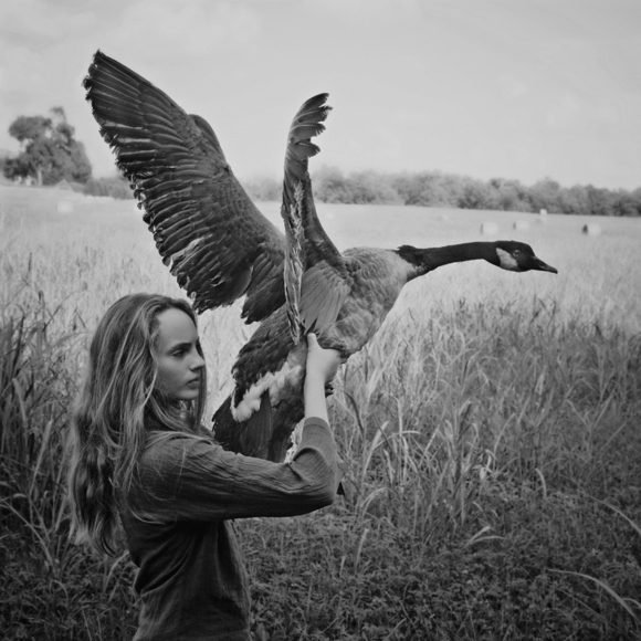 The Magic Goose