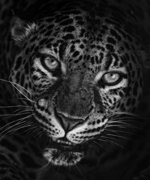 You Talkin' To Me?