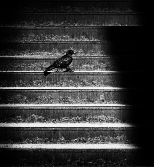 Going up