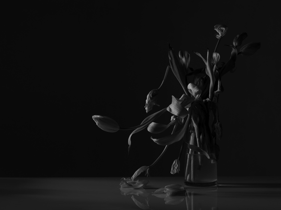 Near Death - tulips