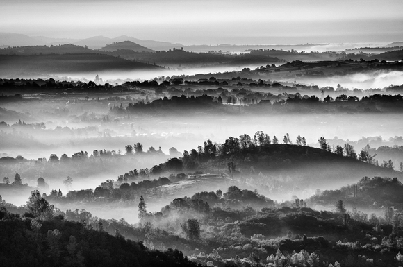 Foothill Fogscape