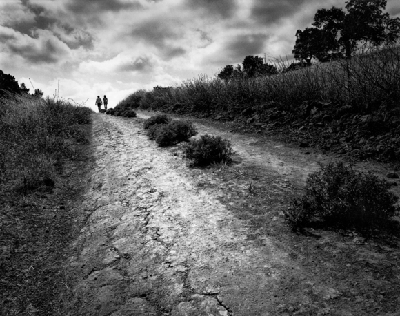 Into the Light